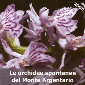 le orchidee spontanee del monte argentario